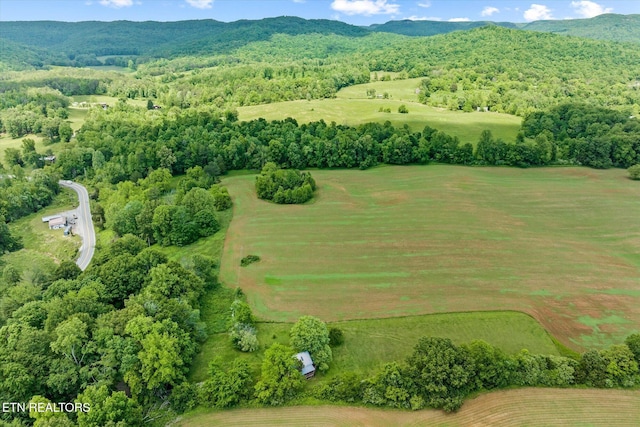 2892 N York Hwy, Pall Mall, TN 38577 - bird's eye view of a mountainous background