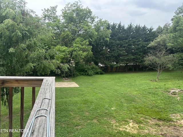 503 S Ruth St, Maryville, TN 37803 - view of yard