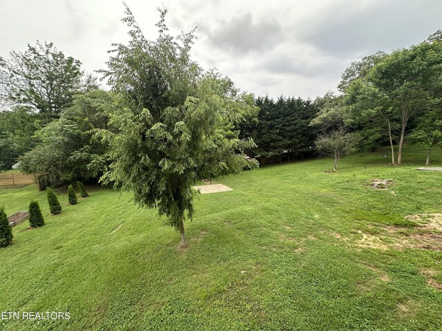 503 S Ruth St, Maryville, TN 37803 - view of green lawn
