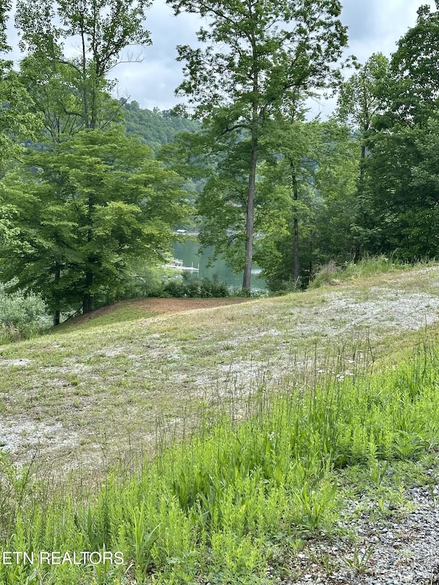 211 Suncrest Cv, Lafollette, TN 37766