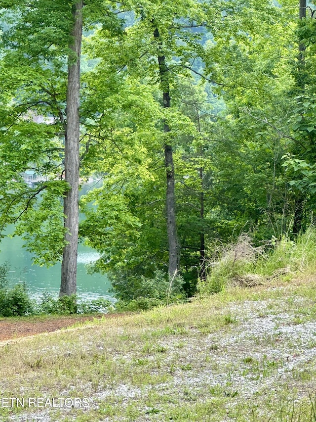 211 Suncrest Cv, Lafollette, TN 37766