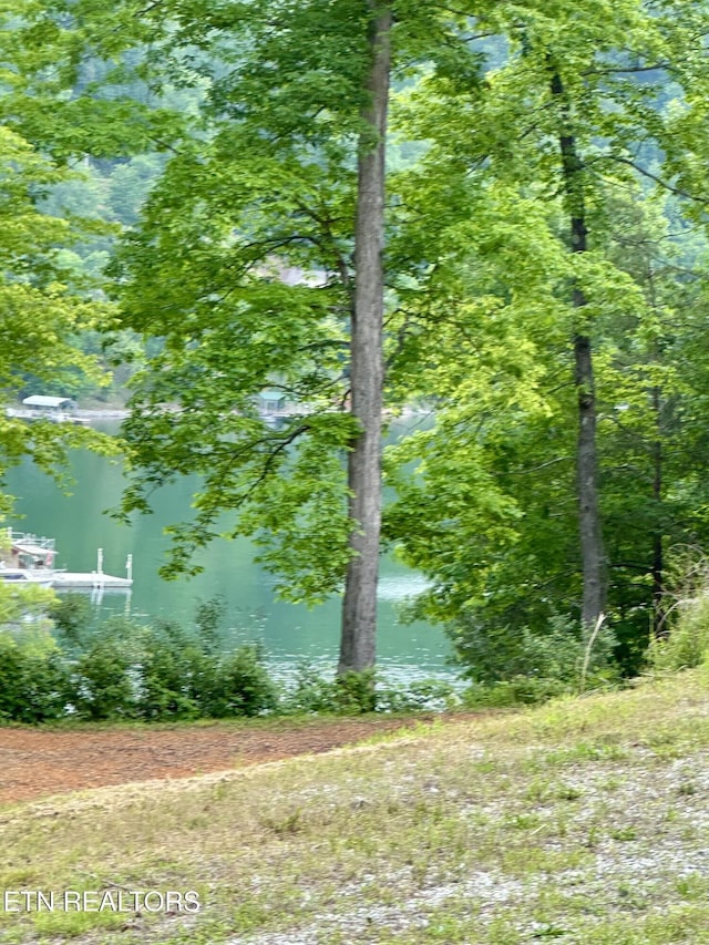 211 Suncrest Cv, Lafollette, TN 37766