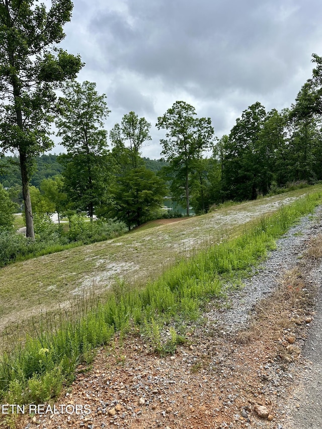 211 Suncrest Cv, Lafollette, TN 37766