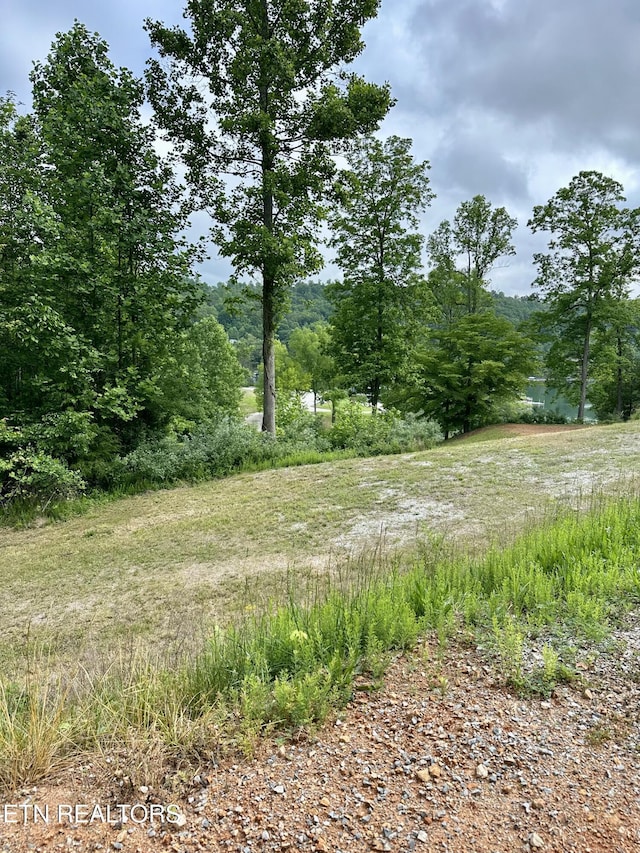 211 Suncrest Cv, Lafollette, TN 37766