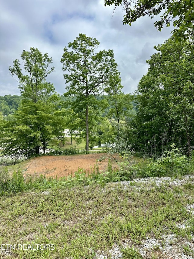 211 Suncrest Cv, Lafollette, TN 37766