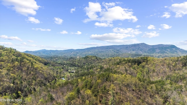 1032 Black Bear Cub Way, Sevierville, TN 37862 - view of mountain background featuring a forest