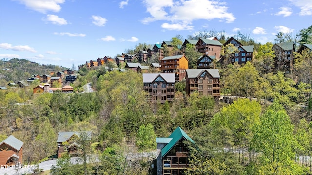 1032 Black Bear Cub Way, Sevierville, TN 37862 - aerial view