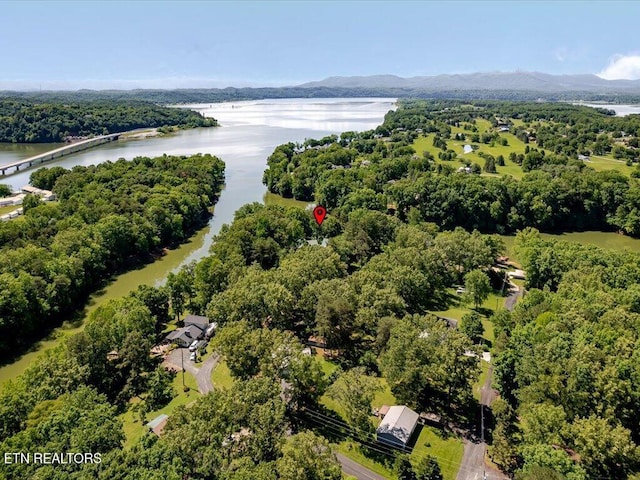 3428 Connie Ln, White Pine, TN 37890 - aerial view of a water and mountain view and a heavily wooded area