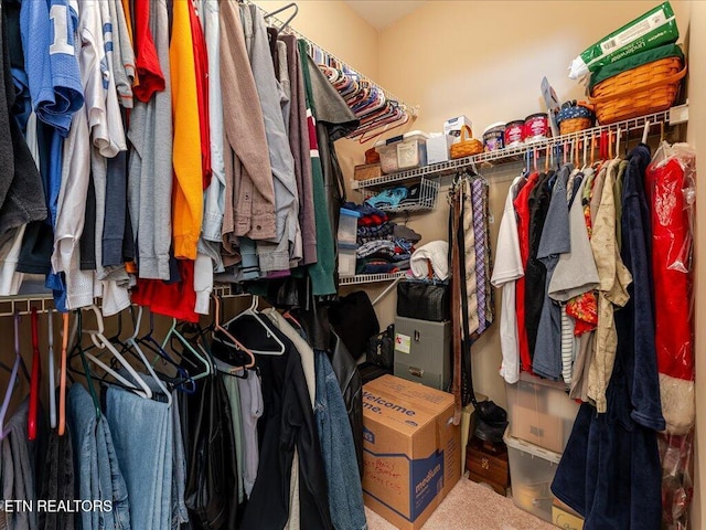 3428 Connie Ln, White Pine, TN 37890 - view of spacious closet