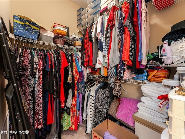 3428 Connie Ln, White Pine, TN 37890 - walk in closet with carpet