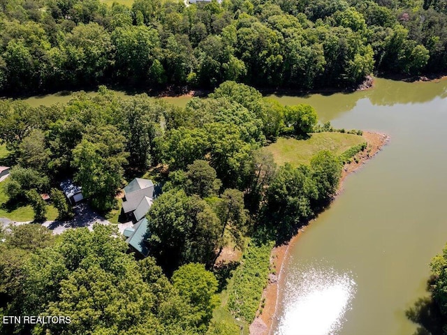 3428 Connie Ln, White Pine, TN 37890 - drone / aerial view of a large body of water and a forest