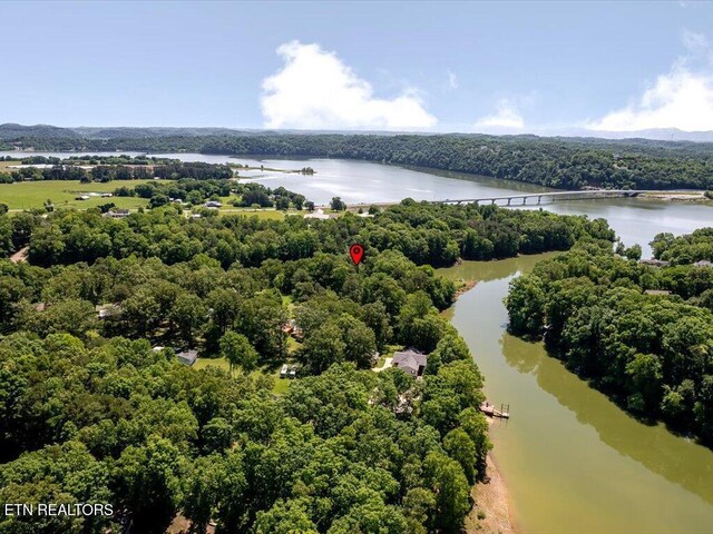 3428 Connie Ln, White Pine, TN 37890 - bird's eye view of a nearby body of water and a forest