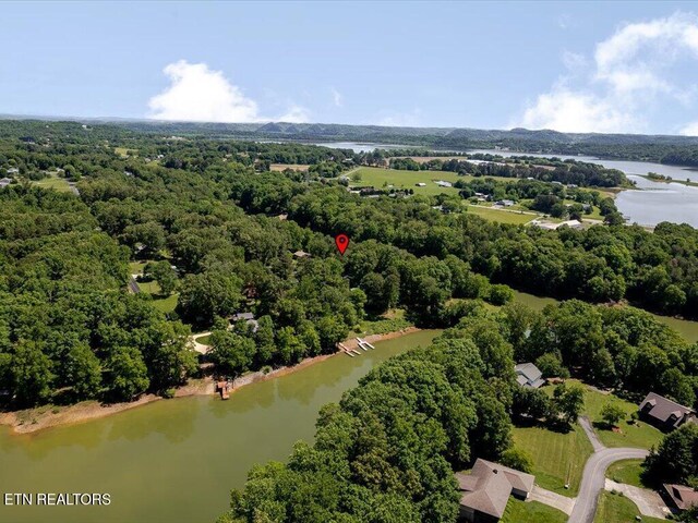 3428 Connie Ln, White Pine, TN 37890 - drone / aerial view of a large body of water and a heavily wooded area