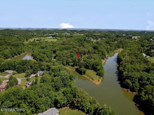 3428 Connie Ln, White Pine, TN 37890 - bird's eye view of a large body of water and a heavily wooded area