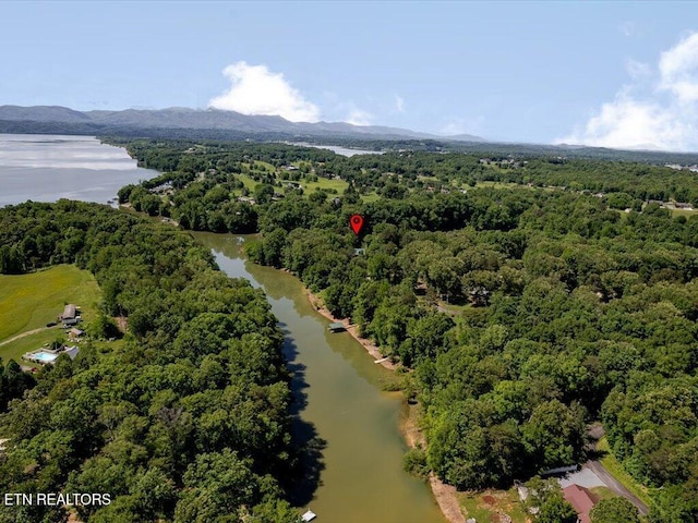 3428 Connie Ln, White Pine, TN 37890 - aerial view of a water and mountain view and a forest
