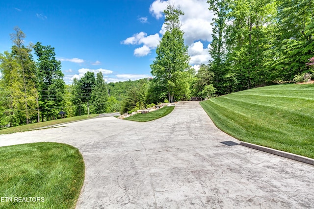 1510 Hickory Pointe Ln, Maynardville, TN 37807 - surrounding community featuring a lawn