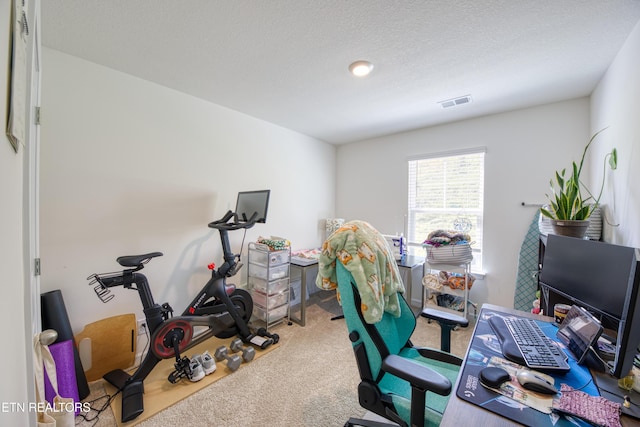 162 Harbour Pointe Ln, Oak Ridge, TN 37830 - office featuring carpet floors