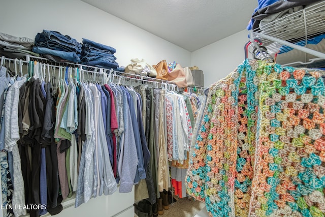 162 Harbour Pointe Ln, Oak Ridge, TN 37830 - view of walk in closet