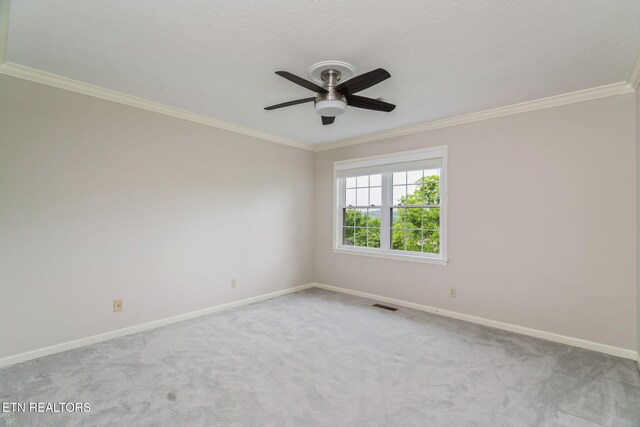 454 Sugarwood Dr, Knoxville, TN 37934 - photo 36