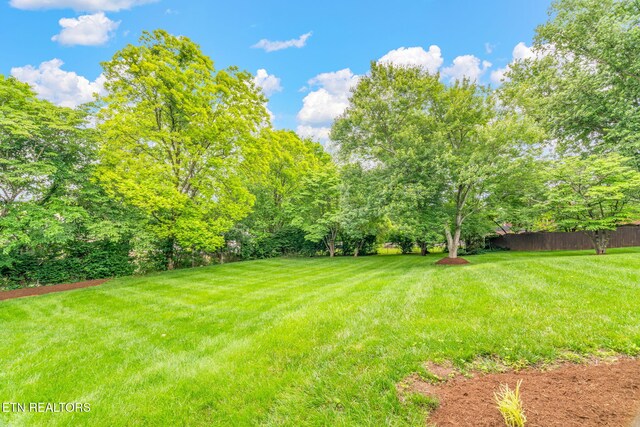 454 Sugarwood Dr, Knoxville, TN 37934 - photo 59