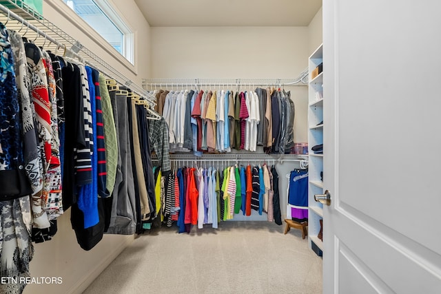 170 Blue Jay Ave, Vonore, TN 37885 - spacious closet featuring carpet floors