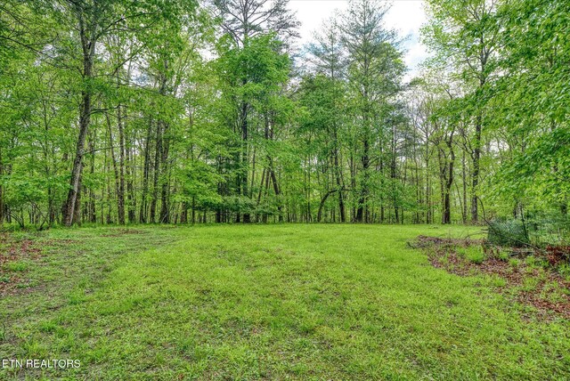 1008 Meridian Rd, Crossville, TN 38555 - photo 51