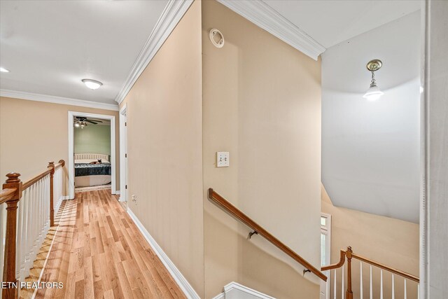 1008 Meridian Rd, Crossville, TN 38555 - photo 27