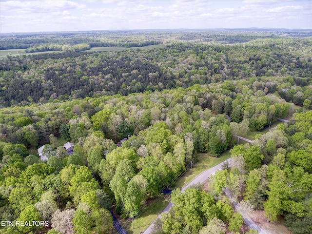 1008 Meridian Rd, Crossville, TN 38555 - photo 55