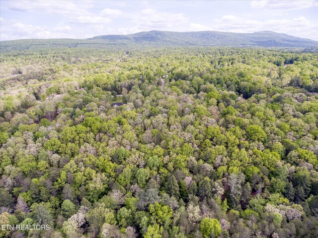 1008 Meridian Rd, Crossville, TN 38555 - photo 59