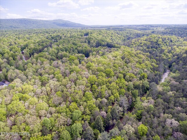 1008 Meridian Rd, Crossville, TN 38555 - photo 60