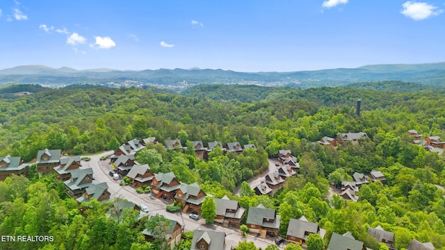 2006 Cougar Crossing Way, Sevierville, TN 37862 - aerial perspective of suburban area featuring a heavily wooded area and mountains