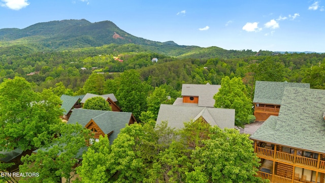 2006 Cougar Crossing Way, Sevierville, TN 37862 - drone / aerial view of mountains and a forest
