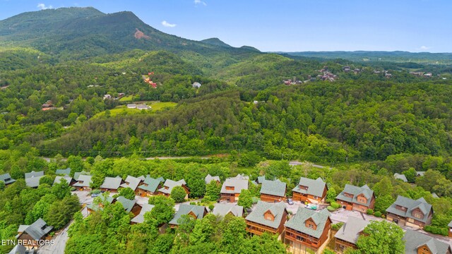 2006 Cougar Crossing Way, Sevierville, TN 37862 - aerial perspective of suburban area featuring a forest and mountains