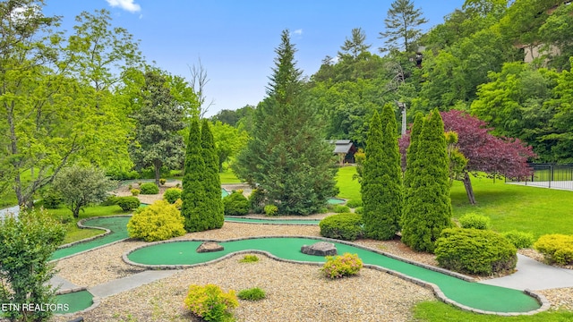 2006 Cougar Crossing Way, Sevierville, TN 37862 - surrounding community with an area to practice putting