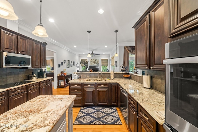 4605 Simona Rd, Knoxville, TN 37918 - photo 15