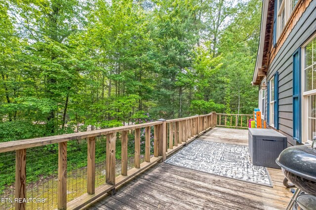 3350 Leatherwood Ford Rd, Jamestown, TN 38556 - photo 24