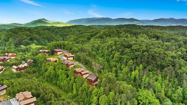 aerial view of property's location with a forest and mountains