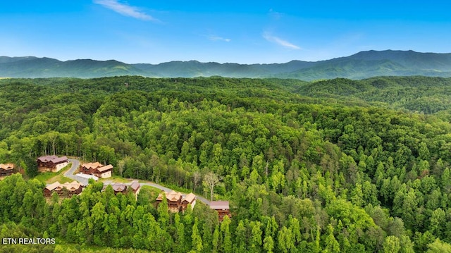 mountain view featuring a heavily wooded area