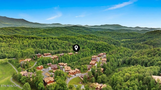 drone / aerial view of a forest and a mountain backdrop