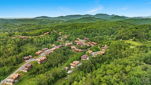 drone / aerial view of a forest and mountains