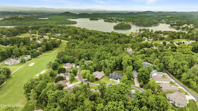 aerial perspective of suburban area with a large body of water and a forest
