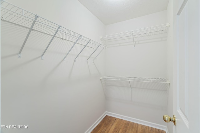 4419 Alder Tree Ln, Knoxville, TN 37938 - walk in closet featuring wood finished floors
