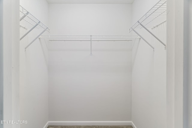 4419 Alder Tree Ln, Knoxville, TN 37938 - walk in closet with carpet
