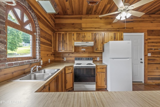 313 W Spring St, Oliver Springs, TN 37840 - kitchen with white appliances, under cabinet range hood, wooden ceiling, wooden walls, and a sink