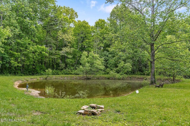 438 Carter Town Rd, Crossville, TN 38571 - photo 41