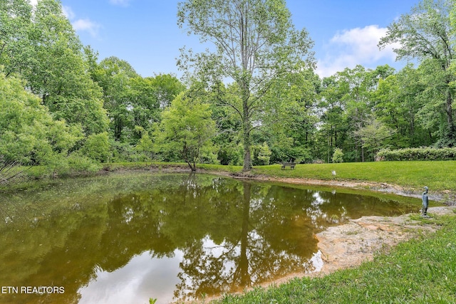 438 Carter Town Rd, Crossville, TN 38571 - photo 42
