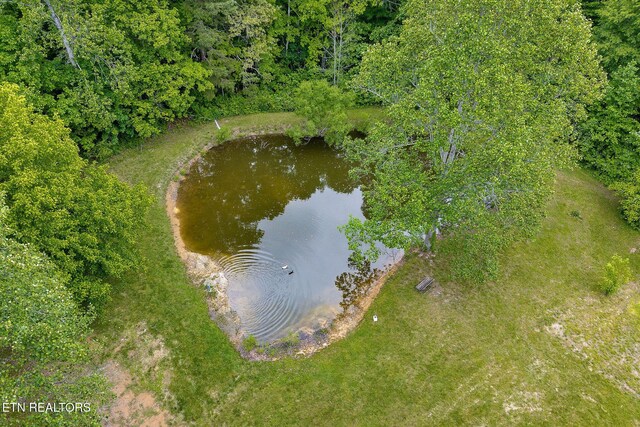 438 Carter Town Rd, Crossville, TN 38571 - photo 43