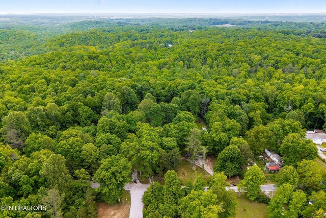 438 Carter Town Rd, Crossville, TN 38571 - photo 49
