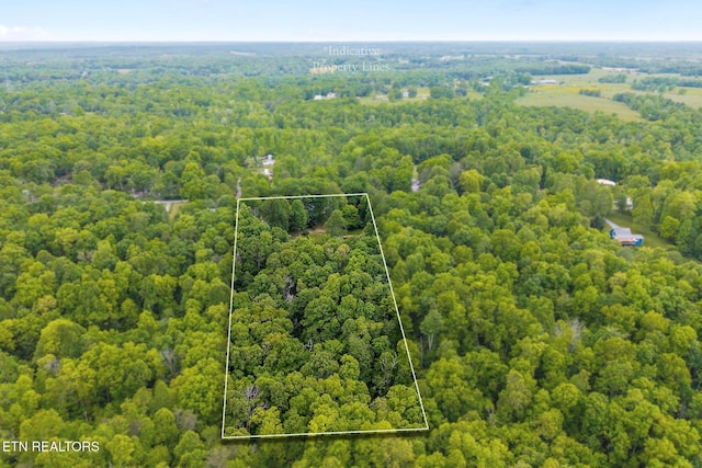438 Carter Town Rd, Crossville, TN 38571 - photo 45