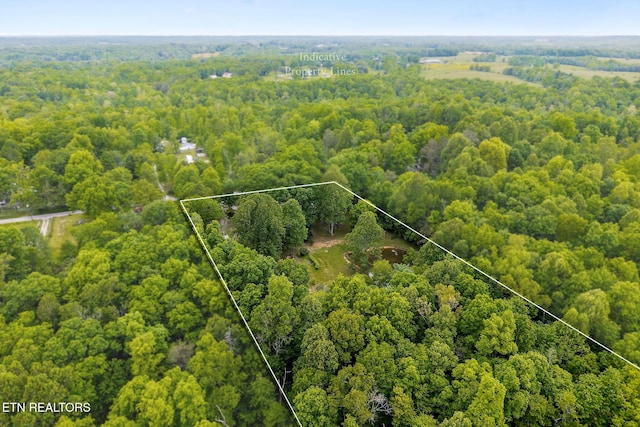 438 Carter Town Rd, Crossville, TN 38571 - photo 46